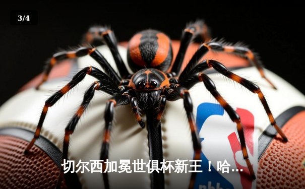 切尔西加冕世俱杯新王！哈弗茨金球绝杀，欧洲球队九连冠霸业达成 - 3