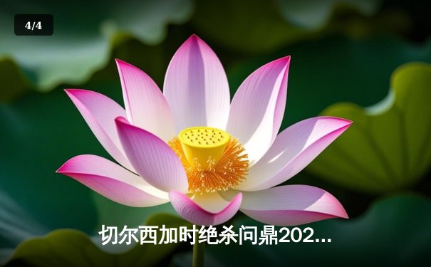 切尔西加时绝杀问鼎2021世俱杯，哈弗茨点射铸就俱乐部全满贯 - 4